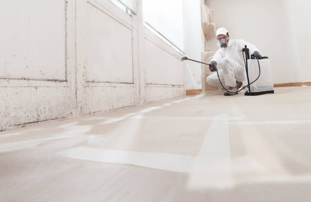24/7 Emergency Mold Remediation experts in Ponderosa Park, CO