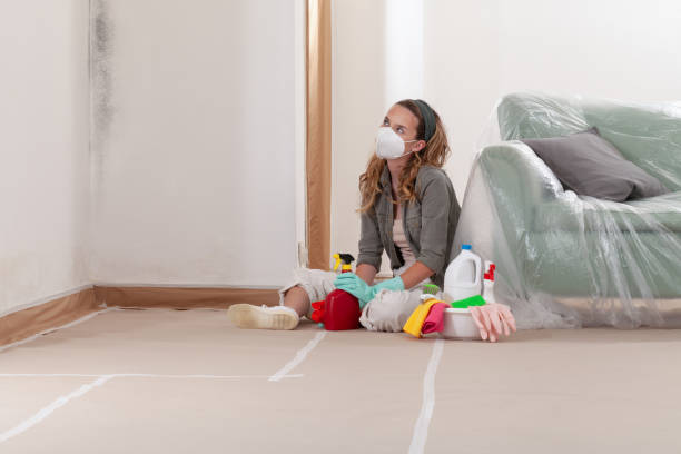 Reliable Mold Remediation contractor in Ponderosa Park, CO by 24 Hour Mold Removal